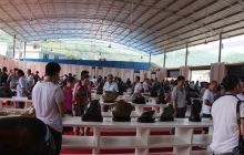 中国·德江首届乌江石文化节隆重开幕