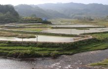 德江荆角乡角口河大闸蟹上市销售