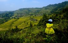 铜仁网携市老摄影协会走进牛郎镇矮红村