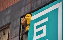 马蜂小区筑巢乱飞 消防员成功摘除