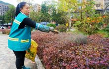 市园林局开展冬季园林施肥工作