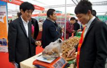 德江县举办第三届全国天麻会产品展销会