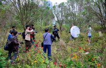 摄友走进湿地公园开展人像摄影采风活动