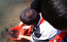 海军希望小学与川硐镇小江口村共同举行“加强渔业增殖放流 优化锦江生态环境 ”放流活