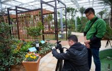 中央电视台《寻找最美花园》走进玉屏茶花泉