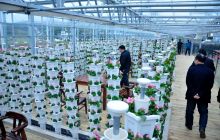 玉屏智能温室项目创新现代农业科技理念