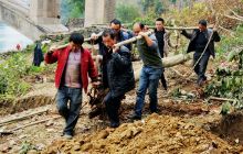 清水桥扩建  绿化树“搬家”