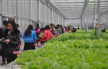 全国百家旅行社走进铜仁