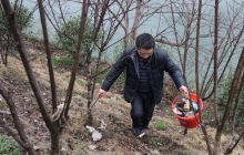 碧江区教育局积极参加锦江河步道全民义务劳动日活动