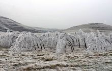 走，黔东草海赏冰去