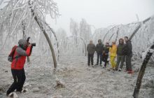 松桃“黔东草海”雪景惹人醉