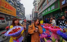 浪漫情人节——玫瑰争艳