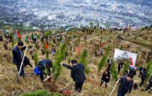 铜仁市各区县举行植树造林活动