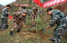 沿河县人武部成建制组织民兵植树造林