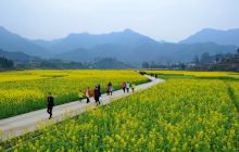 【记录铜仁】侗乡瓦屋油菜花之旅