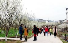 沿河南庄：现代园区变成旅游景区