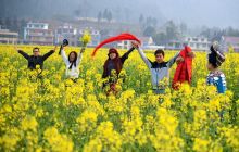 孟溪油菜花开正浓时