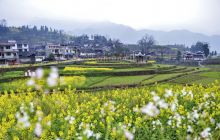 市老摄影协会新春联谊会在瓦屋高岩田侗寨举行