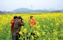 【记录铜仁】走进孟溪千亩油菜基地