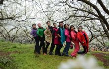 【记录铜仁】玉屏亚鱼桃花、李花“笑迎”四方宾客