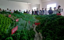 全市烤烟移栽现场会在沿河召开