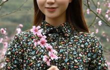 盛开于枝头，赴一场桃花的盛宴