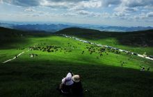 【记录铜仁】黔东草海游客如织