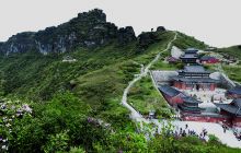 铜仁：“迟到的杜鹃花”妆点梵净山