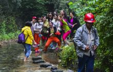 10万亩竹海拔笋体验活动在六龙山乡成功举行