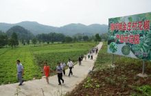 德江县县政协组织科协文艺工商联界委员到稳坪开展界别活动