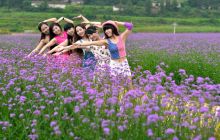 【盛夏旅途】铜仁网友相约花海