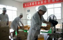 德江县茂强土特产公司打造“甜蜜”的事业