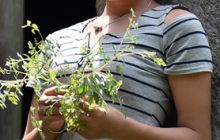 行走头京古城：找寻那首厚重的爱情史诗