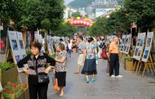 市老摄协摄影作品在全省20届老年摄影作品联展中获奖