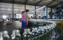 走进大龙中伟玻璃厂