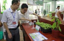 武陵山中药材新医药博览会铜仁市展区——多样化的药材产品展销