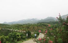 龙泉乡依托“观音湖”农业观光生态园推进德江建设