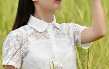 初秋·稻香