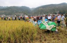 德江县机收水稻现场会召开
