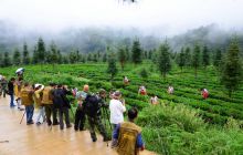 铜仁网携摄友走进怒溪镇采风