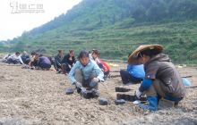 加大业结林业产业结构发展万山农民积极性高涨