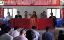 德江加大天麻栽培技术投入