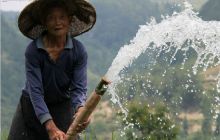 印江：持续高温引发干旱 党员群众全力抗灾