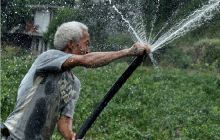 印江中坝乡：农业经济作物严重受灾 群众积极生产自救