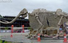 重返侏罗纪 民族风情园恐龙科普展