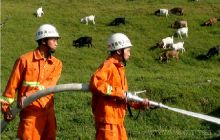 “红水桶”为黑山羊“解渴”