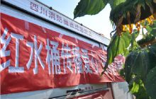 印江合水镇“红水桶”送来清泉