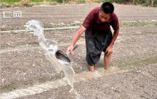 印江刀坝乡：持续高温致旱情严重 干部群众全力抗旱保收