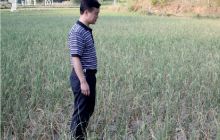 德江县全力抗旱救灾