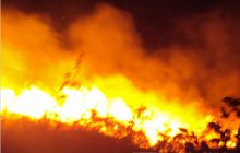 山火肆虐 思南消防紧急出动扑灭山林火灾